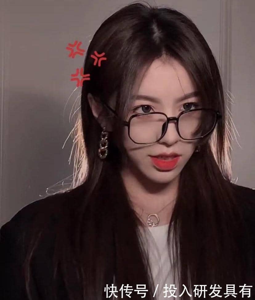 宠物狗分级：揭秘狗狗的“星级”世界