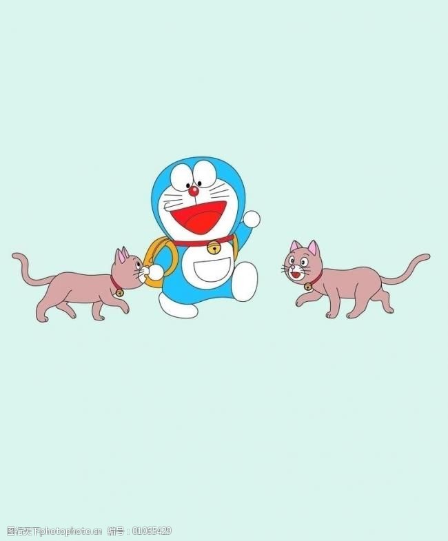 华侨苑宠物狗：温馨家园中的忠诚伙伴